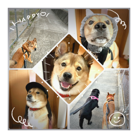 Bfe2b69e b642 41f5 a52f e56234a40d9e s