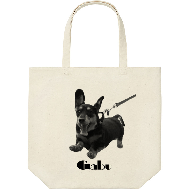 64764e09 ffe8 42ae b066 225121d5e945 9 print ll