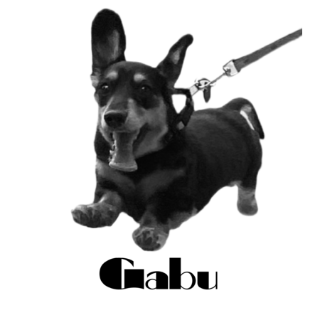 64764e09 ffe8 42ae b066 225121d5e945 s