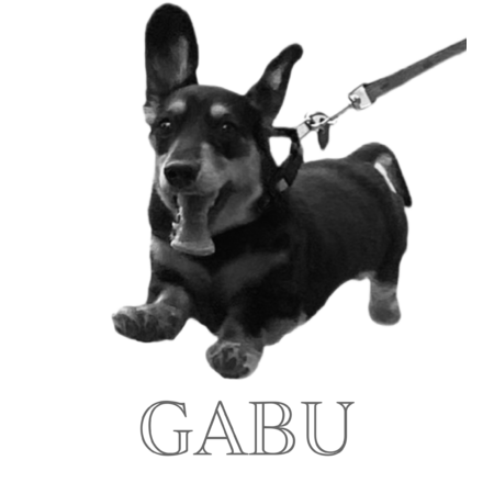 9b9c64be a3bd 434b 8315 be006109f4fd s