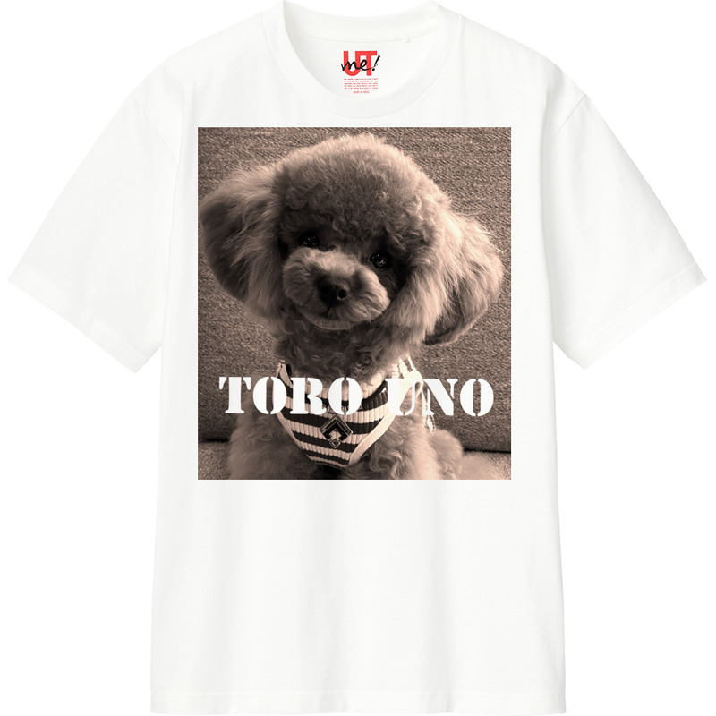 Abc126f1 f87e 4cd0 a2ae 57fb74646c04 110 print ll