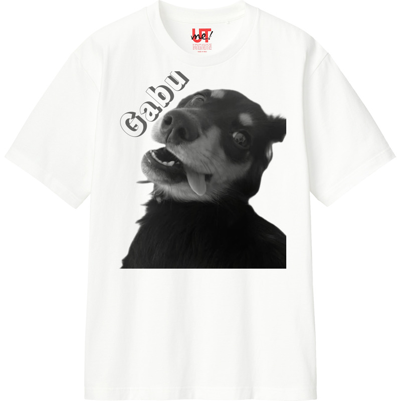 B85c3af6 bb06 4071 aa8e fb1d900e05b6 110 print ll