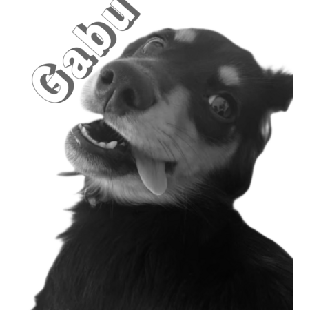 B85c3af6 bb06 4071 aa8e fb1d900e05b6 s