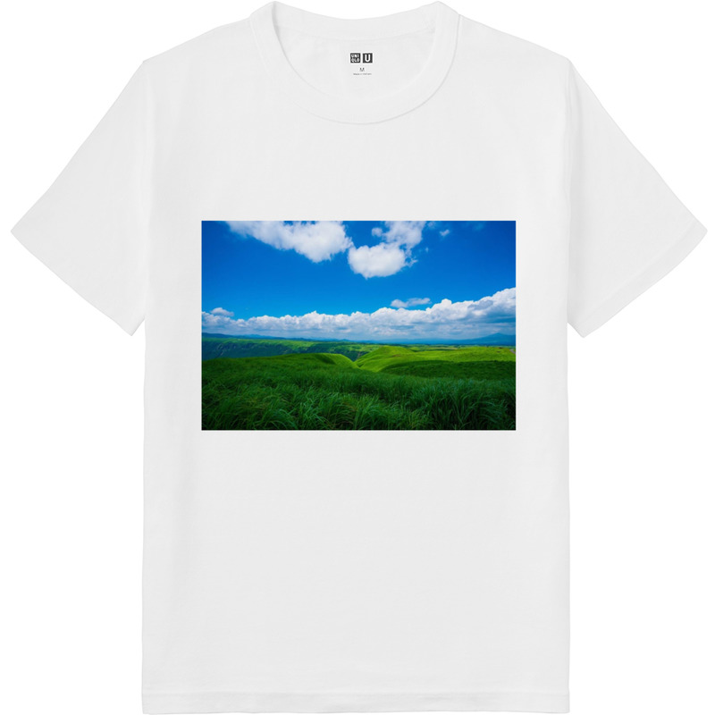 E7787bdf 8331 4f83 a171 52cb33f28450 64 print ll