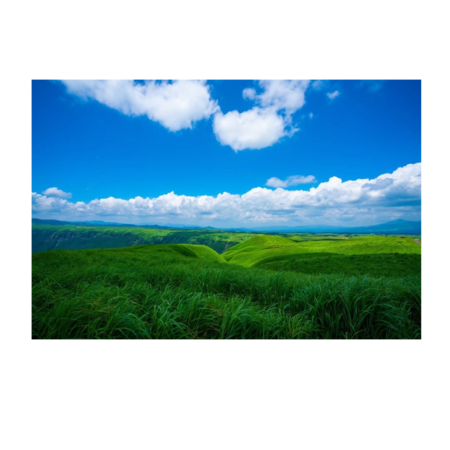 E7787bdf 8331 4f83 a171 52cb33f28450 s