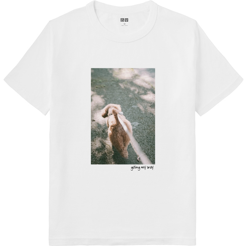 74cd06fc 479d 42dd bc2d 0ef2db70c8a2 64 print ll