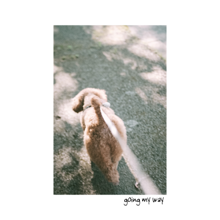 74cd06fc 479d 42dd bc2d 0ef2db70c8a2 s