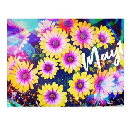 8b91bc68 40be 4e01 a751 b069f3ac38cb s