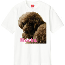 021e61be 005f 4c45 8f14 6e49f0c4deb5 110 print s