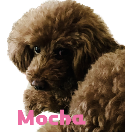 021e61be 005f 4c45 8f14 6e49f0c4deb5 s