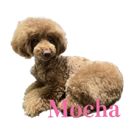 Bc0c9dd5 7912 4b4b 9101 272ea9047894 s