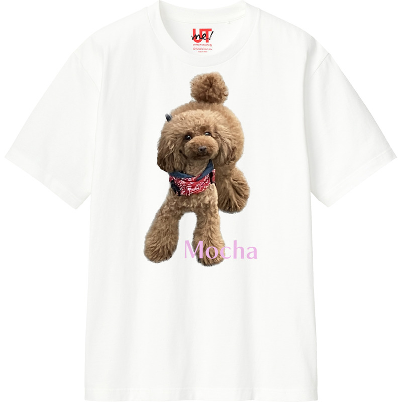 7b2a46de 7c75 49d9 8ee5 1ef268242f59 110 print ll