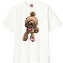 7b2a46de 7c75 49d9 8ee5 1ef268242f59 110 print s