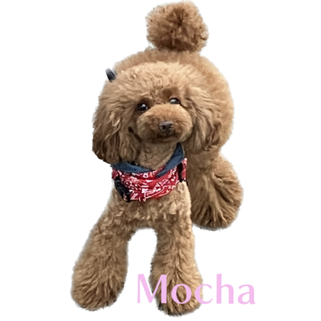 7b2a46de 7c75 49d9 8ee5 1ef268242f59 s