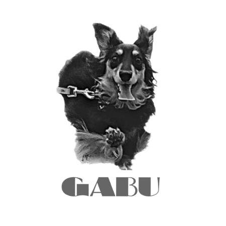 176bc70d 2bc7 42ca b66f d0f232225d36 s