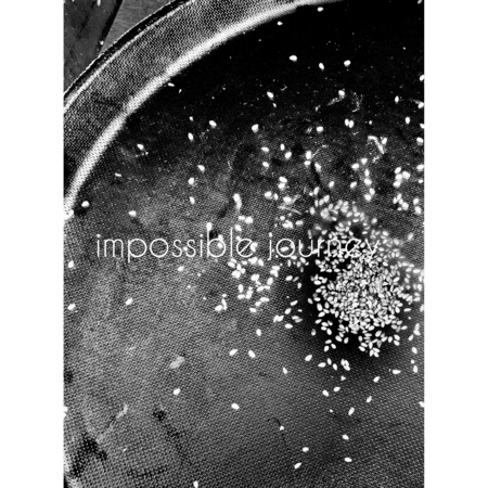 42bc4595 104d 4fef 8ad8 ec81f1b5500b s