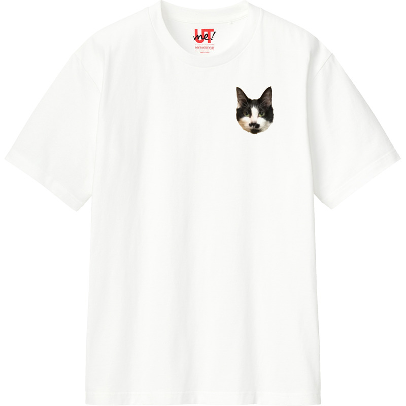 C34b0b74 3438 4719 b9aa 1f9bbd06bf12 110 print ll