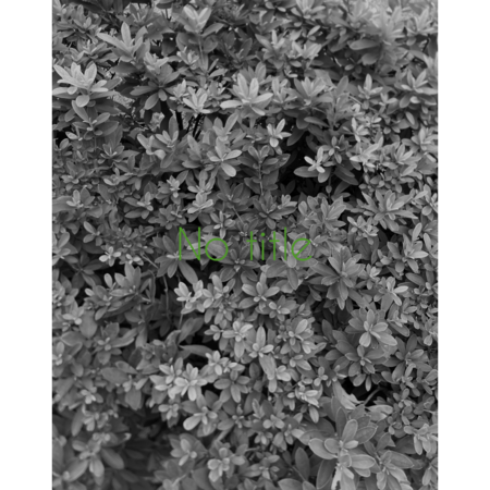 98cfd732 994b 471a 90e6 3c205fedda7f s