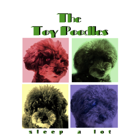 1f0b9f47 320d 4704 8390 971e22bf86b9 s