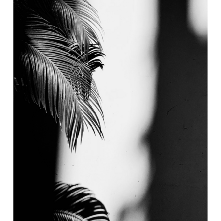 D92523c5 d192 4646 bea4 0867fc24462c s