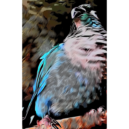 Bdb9bb66 7eb4 4eef b3fb 2dc57d5e3098 s