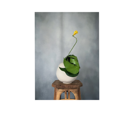 768ebdb6 6a6b 4ee3 8d6b a417b7615629 s