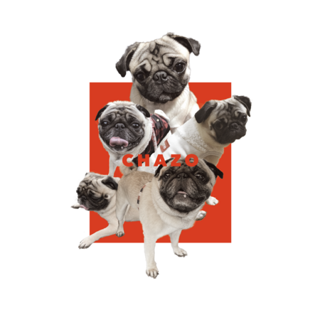 4cdac678 96a3 41ac 9f16 aa8c883328de s