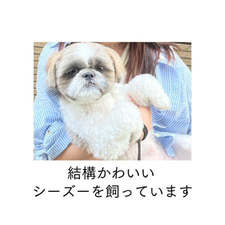 F1cadcaa 05dc 462f b3e3 855e40602d57 s