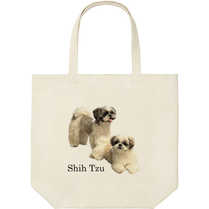 D0dacf29 c973 4cfa b81c 36b201f2f002 9 print ll