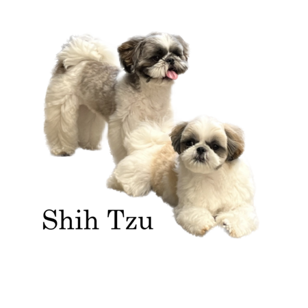 D0dacf29 c973 4cfa b81c 36b201f2f002 s