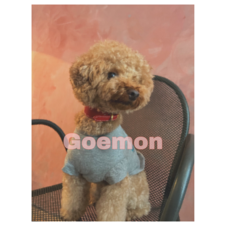 48a76dcd b6cd 48d1 a3cb d3d712fca073 s