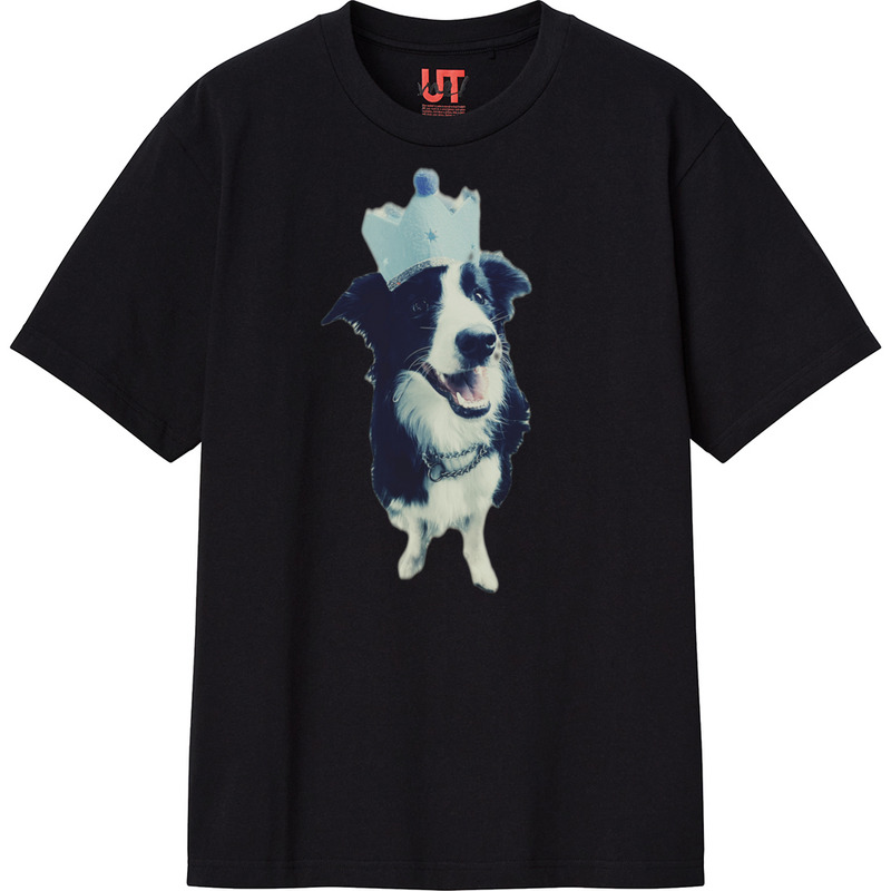 56760898 3e75 4d64 a081 94d04650c7f0 111 print ll