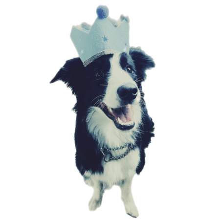 56760898 3e75 4d64 a081 94d04650c7f0 s