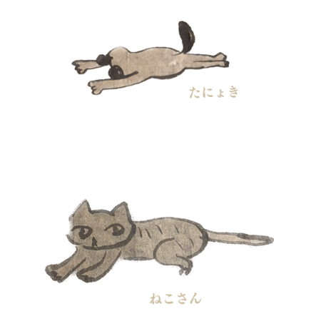 3fea5cef 5a38 400e b81c 09afdb8cdb3e s