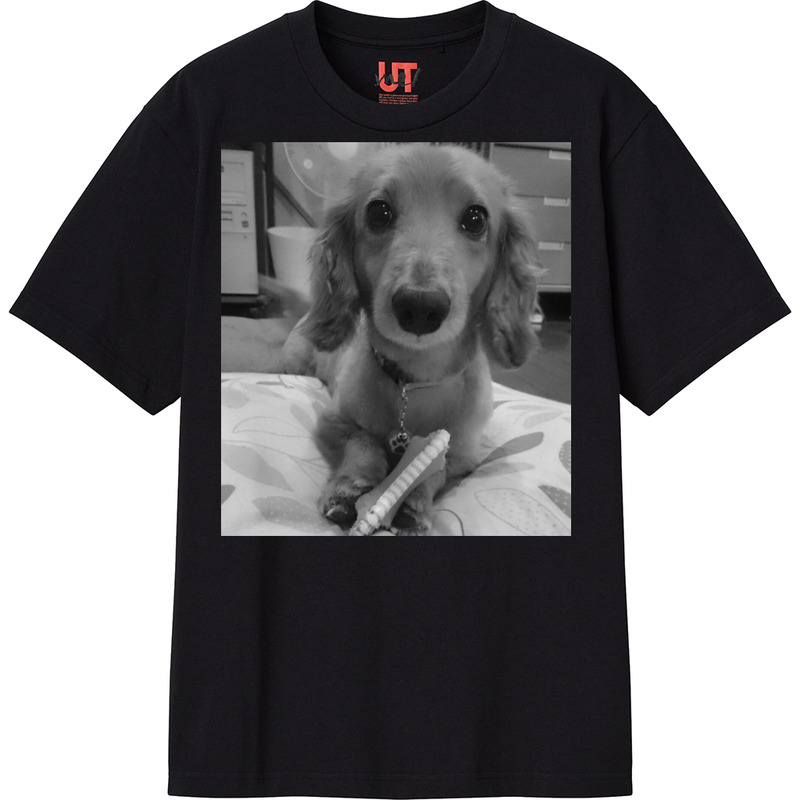 0414bcc7 414f 4ee2 b099 81cd47e7bd52 111 print ll