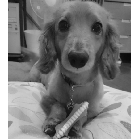 0414bcc7 414f 4ee2 b099 81cd47e7bd52 s