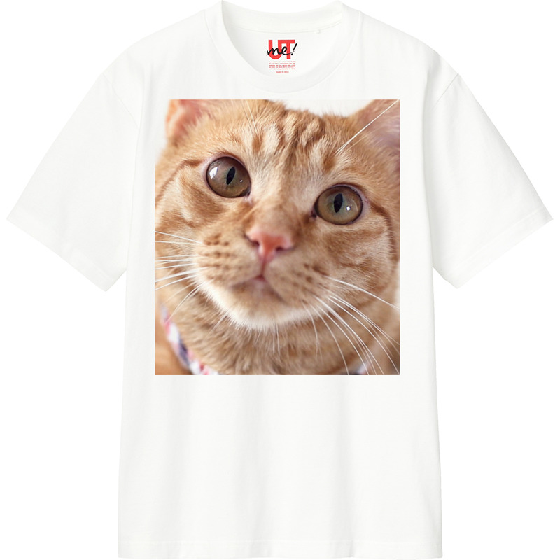 E9f99d78 22c1 480f a13a 896463fccf94 110 print ll