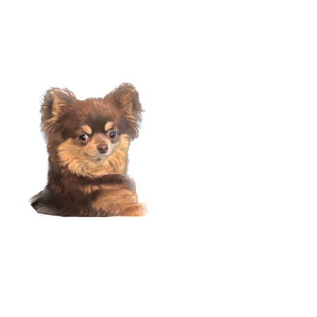 C26137d5 c98a 4d69 8a9a c46b98076613 s