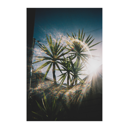 43d9a2f5 734b 43da 8642 8cd63ed8044f s