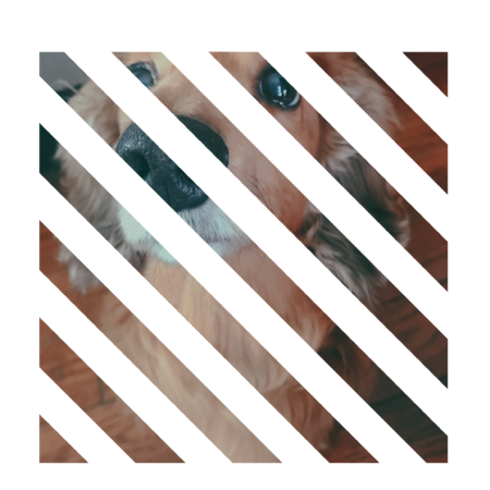 6ba8cbb5 d5ac 4436 a8b2 35f662844278 s