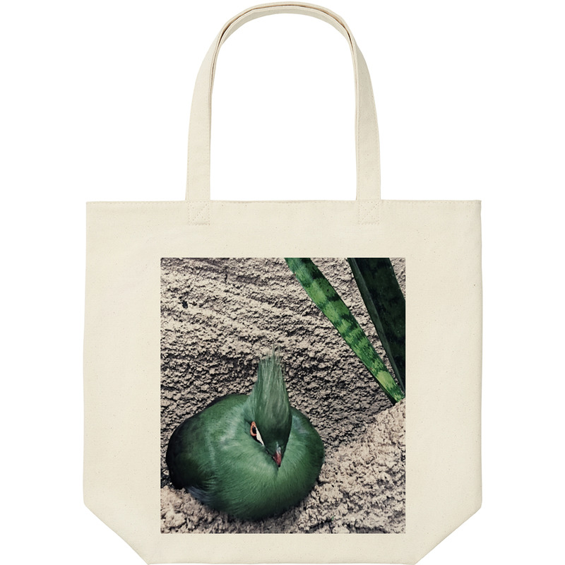 F7e87b86 e8cb 4bd0 af3e 37089450c9ed 9 print ll