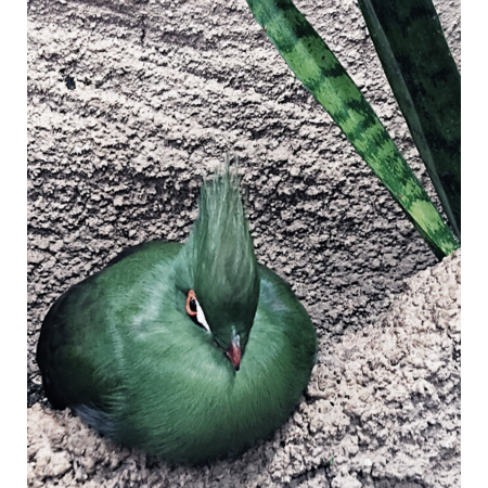 F7e87b86 e8cb 4bd0 af3e 37089450c9ed s