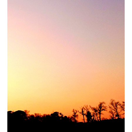 A4cbbaa6 1095 4dd3 8597 67e229428855 s