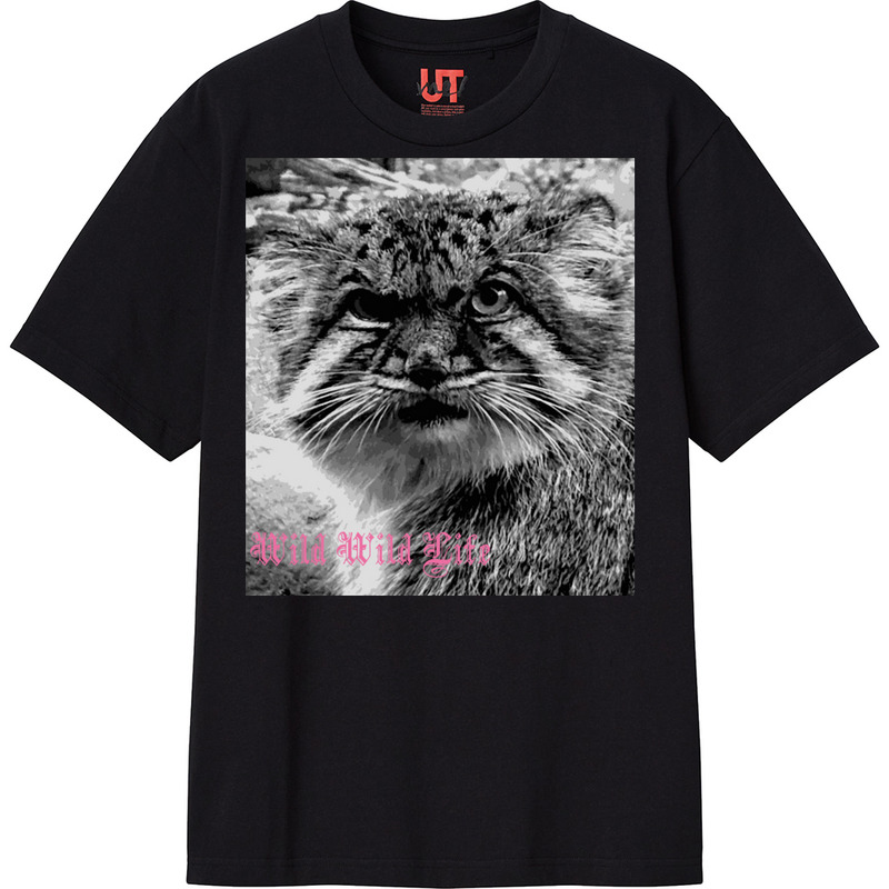 567d560f 0b99 4800 9ae2 97c86e9cb26b 111 print ll