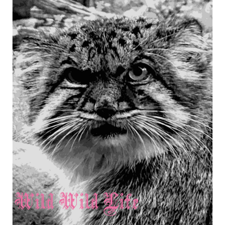 567d560f 0b99 4800 9ae2 97c86e9cb26b s