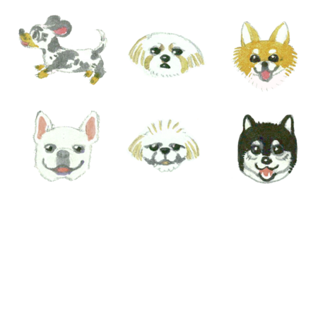 49a20b0a 28fa 40c4 827c a512f4d4f504 s