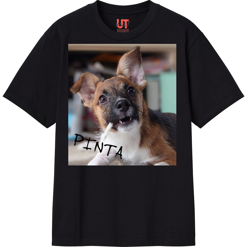 Ccb75b25 4776 497e 889d 14ed8888bd7c 111 print ll