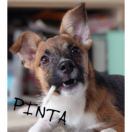 Ccb75b25 4776 497e 889d 14ed8888bd7c s