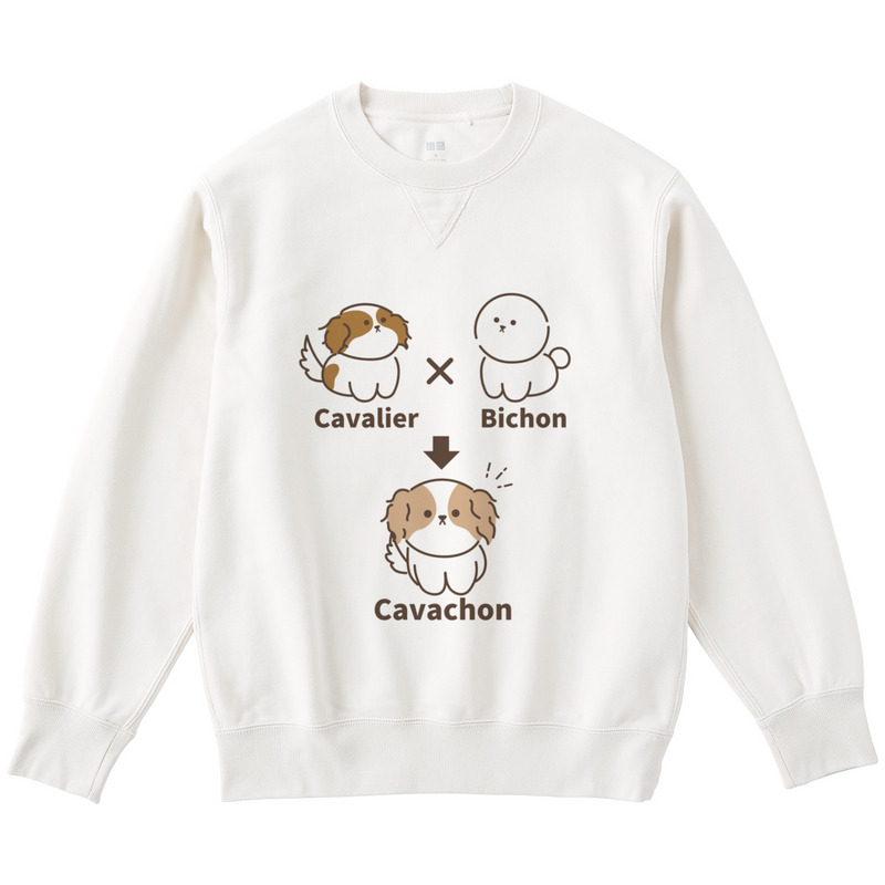 58d23200 9ac9 482f bb2e 13a1c07c284c 122 print ll