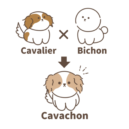 58d23200 9ac9 482f bb2e 13a1c07c284c s